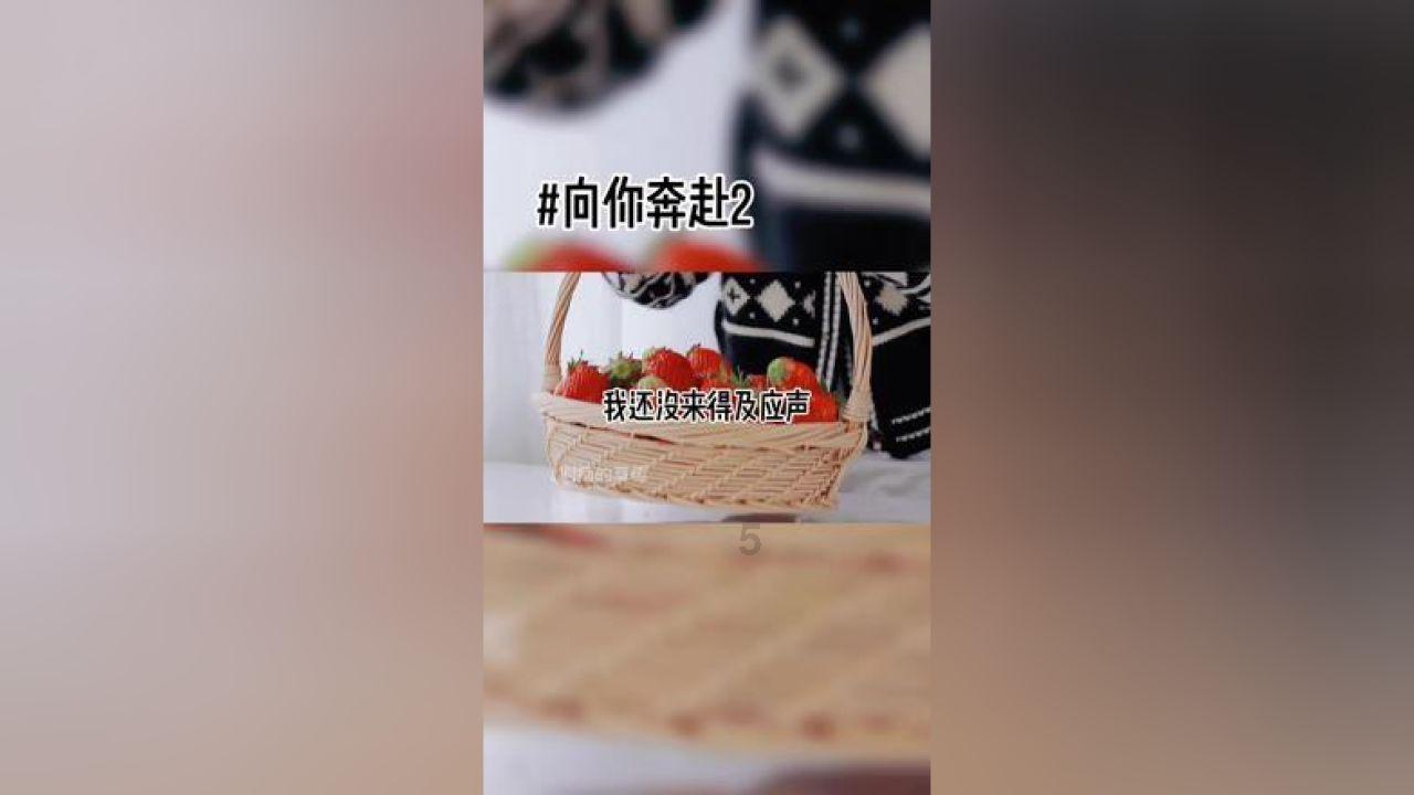 臭屁虫吃吃吃