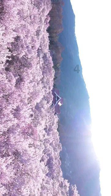 顺溜大冲锋2