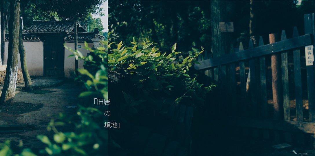 逗小猴开心系列206