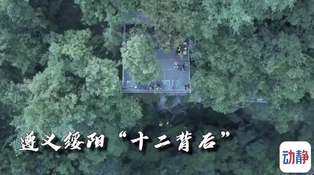 逗小猴开心系列171