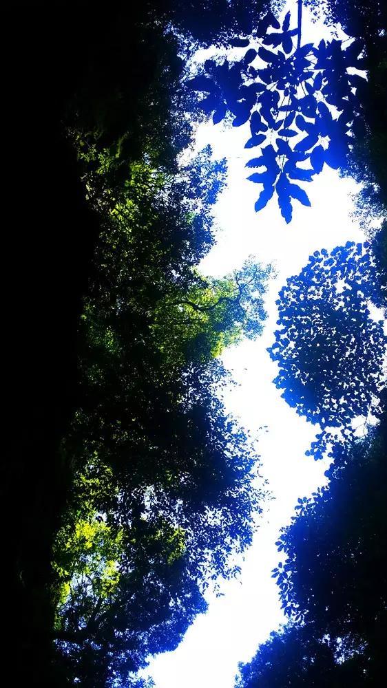 有没大哥知道，怎样能生精呢？游戏画面