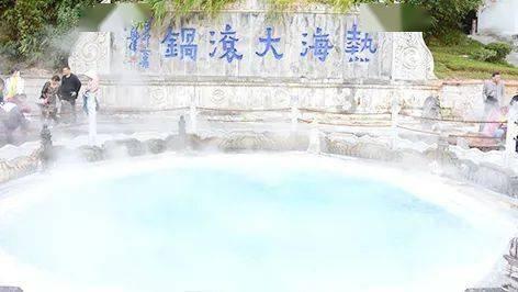 逃出茂密的丛林