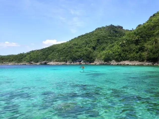白莲花守则