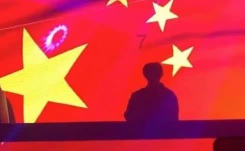 破碎的动物图形2