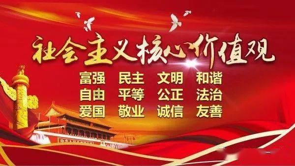 寻找萌宠松鼠