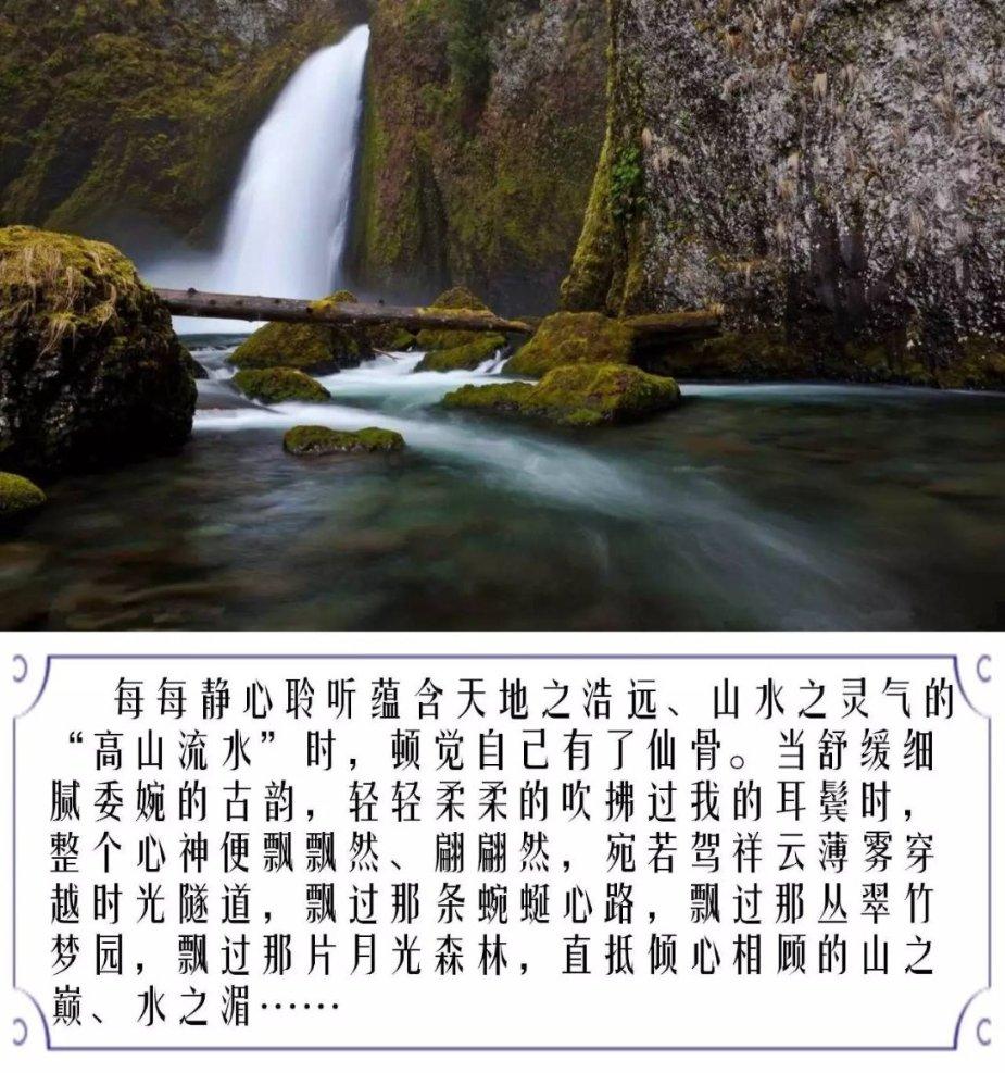 全民烧脑3去广告版