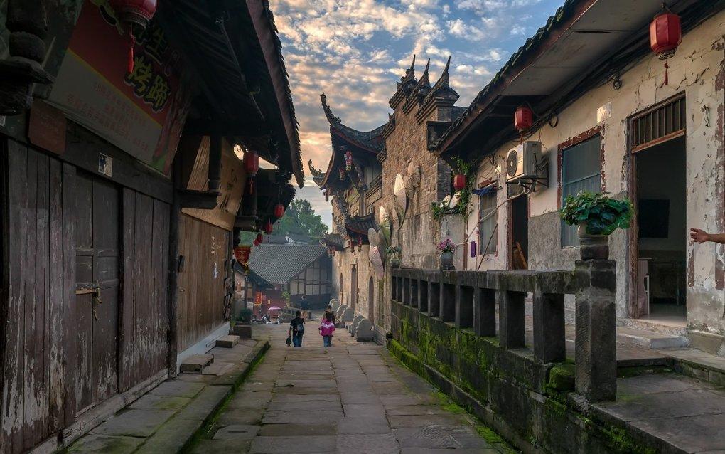 逃离仿真森林